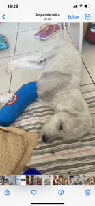 Ajude a pagar a cirurgia de reconstrução de fratura e tratamento de infecção do Nico imagem 10