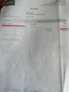 Ajude a pagar a cirurgia de reconstrução de fratura e tratamento de infecção do Nico imagem 14