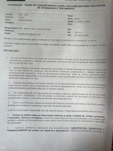 Ajude a pagar a cirurgia de reconstrução de fratura e tratamento de infecção do Nico imagem 11