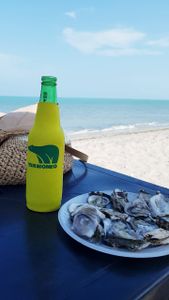 Crowdfunding - Escalonar a TERMONEO