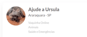 Ajude a Úrsula: Campanha para uma Cirurgia de Emergência 🐾
