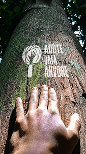 Crowdfunding - Adote uma Árvore