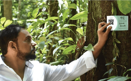 Instituto Terra Verde Brasil - Adote uma Árvore