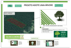 Adote uma Árvore imagem 7