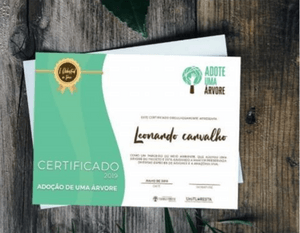 Belém/PA - Adote uma Árvore