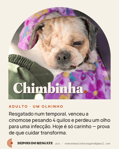 Depois do Resgate imagem 7