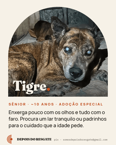 Animais - Depois do Resgate