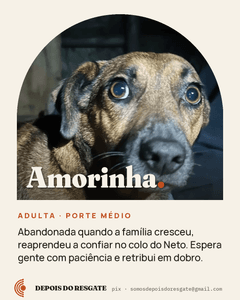 Depois do Resgate imagem 6