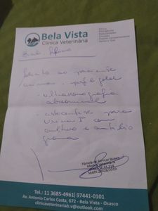 Vaquinha Online - Ajude no tratamento do Bial!