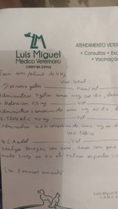 Ajuda para 6 gatinhos abandonados  imagem 6