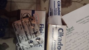 Vaquinha Online - Ajuda para 6 gatinhos abandonados 