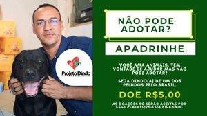 SEJA UM DINDO! CAMPANHA NACIONAL DE CASTRAÇÃO DE CÃES E GATOS.