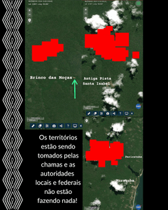 Meio ambiente - Ajude os Tupinambá a Combater as Queimadas e Proteger a Amazônia