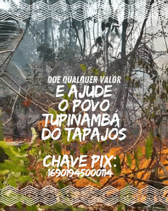 Ajude os Tupinambá a Combater as Queimadas e Proteger a Amazônia