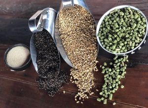 Empreendedorismo e Pequenos Negócios - Cultura Cervejeira , um recomeço! Apreender , ensinar e evoluir .