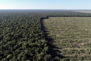 Financiamento Coletivo - Capitalização inicial: Projeto ARR 33K — Tokenização de Créditos de Carbono