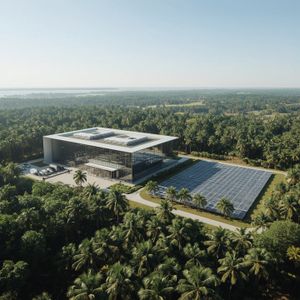 Floresta Viva - Capitalização inicial: Projeto ARR 33K — Tokenização de Créditos de Carbono