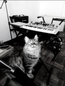 FERALKAT AID ♡ - me ajuda a consertar meu computador e lançar meu disco?