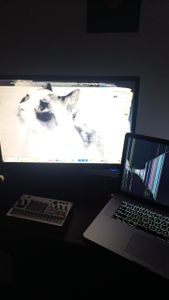 Música - FERALKAT AID ♡ - me ajuda a consertar meu computador e lançar meu disco?