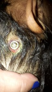 Urgente saúde imagem 6