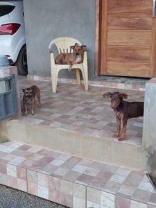 Vaquinha online - Vaquinha online 