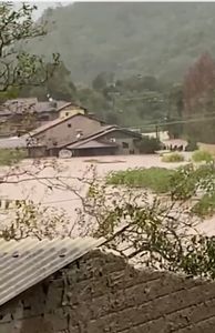 Causas e Comunidade - Amigos do Caraá e SAP