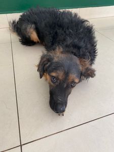 AJUDA TUPÃ - AJUDA TUPÃ