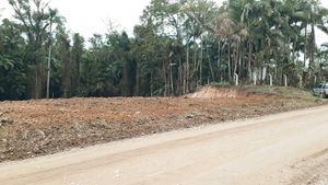 ONGs - Construção do primeiro Bangalô e Infraestrutura