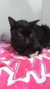 Força para nosso guerreirinho, João! imagem 6