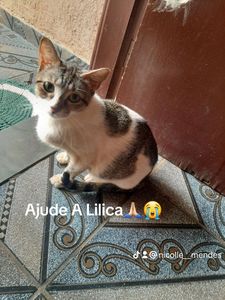 Vaquinha Online - Ajudem a salvar o pezinho da lilica