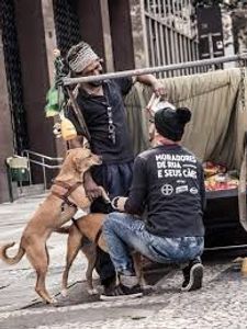 Vaquinha Online - Campanha Zero fome cães e gatos de rua