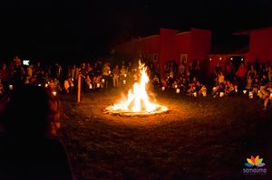 RAÍZES PARA SAMAÚMA imagem 7