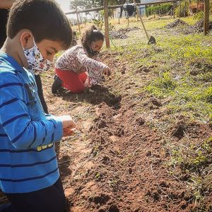 São José do Rio Preto/SP - RAÍZES PARA SAMAÚMA