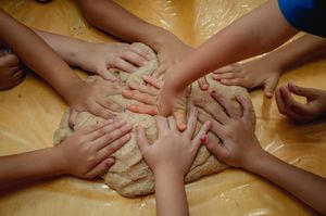 Educação - RAÍZES PARA SAMAÚMA