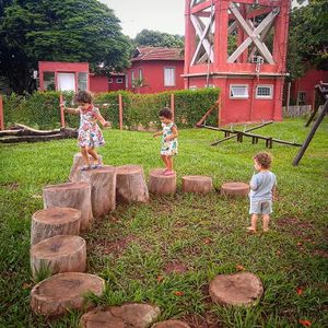 RAÍZES PARA SAMAÚMA imagem 9