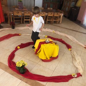 RAÍZES PARA SAMAÚMA imagem 10