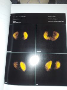 Causas e Comunidade - #bernardopalmeirense 