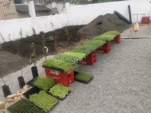 Financiamento Coletivo - aHorta Orgânicos Agricultura Biodinâmica