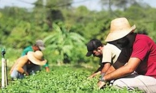 "Juntos pela Revolução Tecnológica do Agricultor Familiar". imagem 6