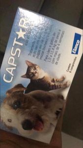 São Paulo/SP - CAMPANHA ANIMAL 