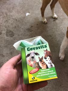 Vaquinha Online - CAMPANHA ANIMAL 