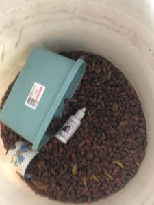 CAMPANHA ANIMAL  imagem 6