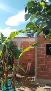 Construindo um sonho _ Ação entre amigos imagem 8