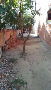 Construindo um sonho _ Ação entre amigos imagem 6