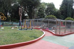 Ajude os idosos da Fundação Santa Cruz imagem 8