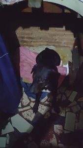 Vaquinha Online - SOCORRA UMA FAMILIA DE AU AU