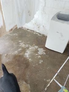 Vaquinha Online - Reforma pra abrir a loja