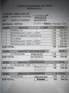 Vaquinha Online -  Cirurgia de Emergência para o Coelho Binky