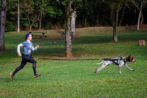 São Bernardo do Campo/SP - Waze e Woody no Campeonato Mundial ICF na Itália 
