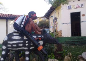 ONGs - Ajude a Brigada Voluntária Gavião Fumaça a se equipar 